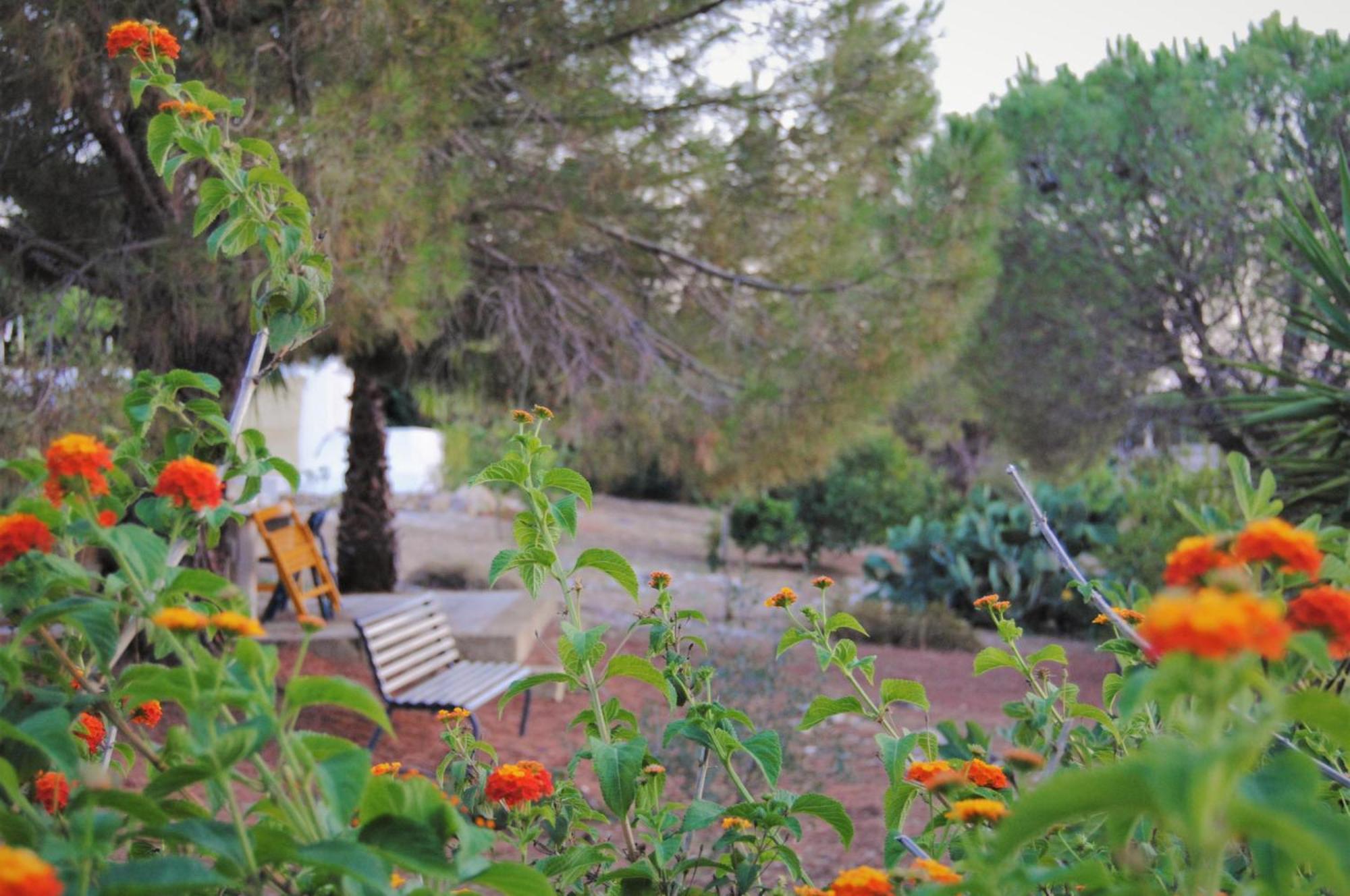 Villa Carola Gallipoli Exteriér fotografie